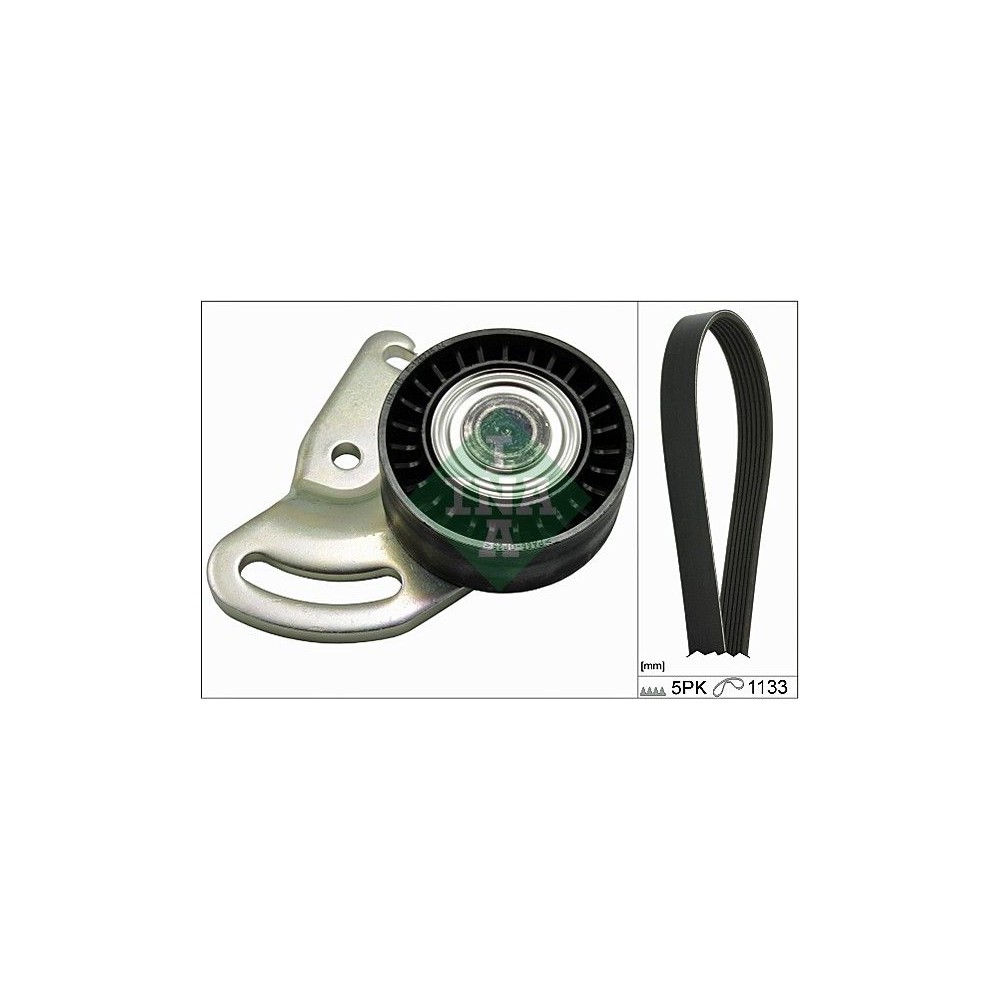 INA Keilrippenriemensatz 529017810