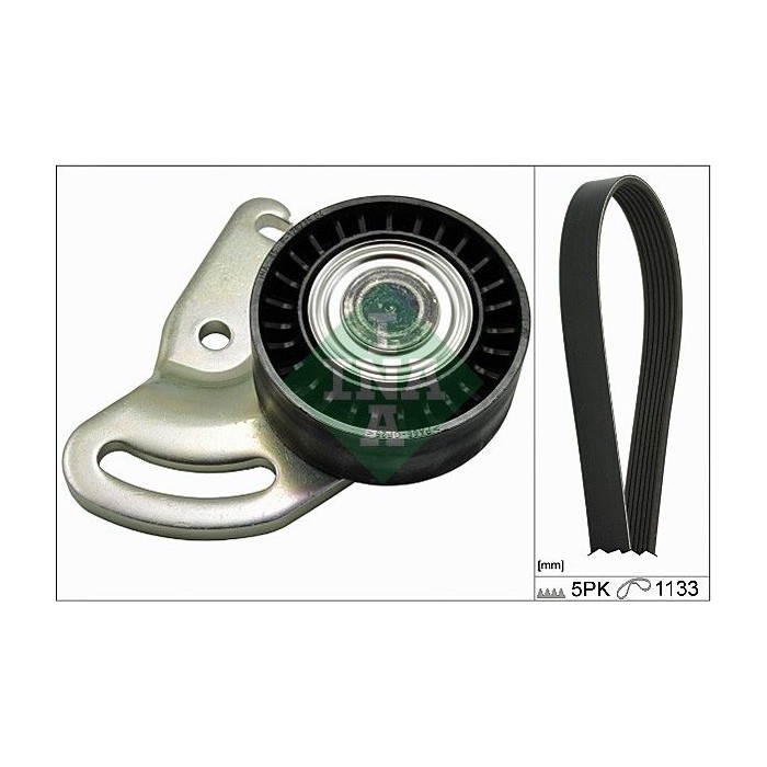 INA Keilrippenriemensatz 529017810