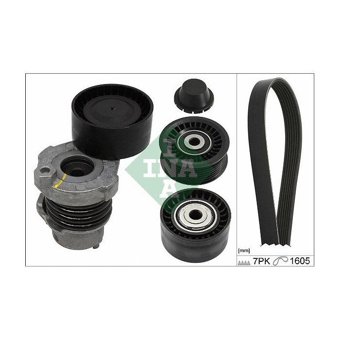 INA Keilrippenriemensatz 529019410