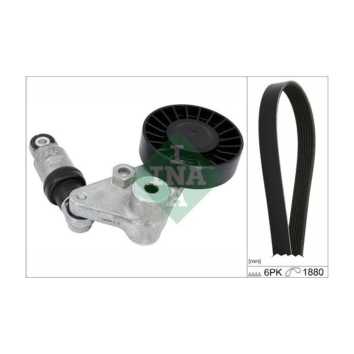 INA Keilrippenriemensatz 529020210