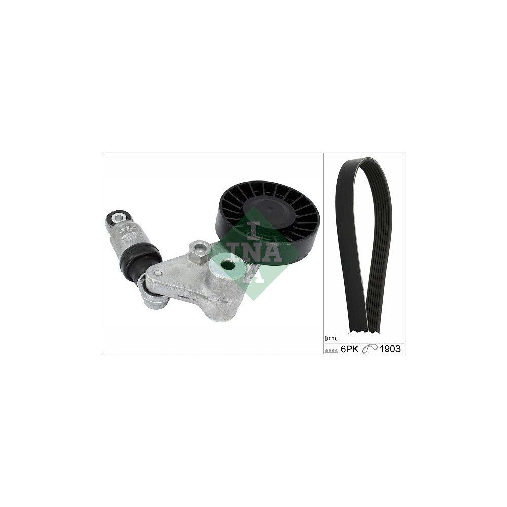 INA Keilrippenriemensatz 529020310