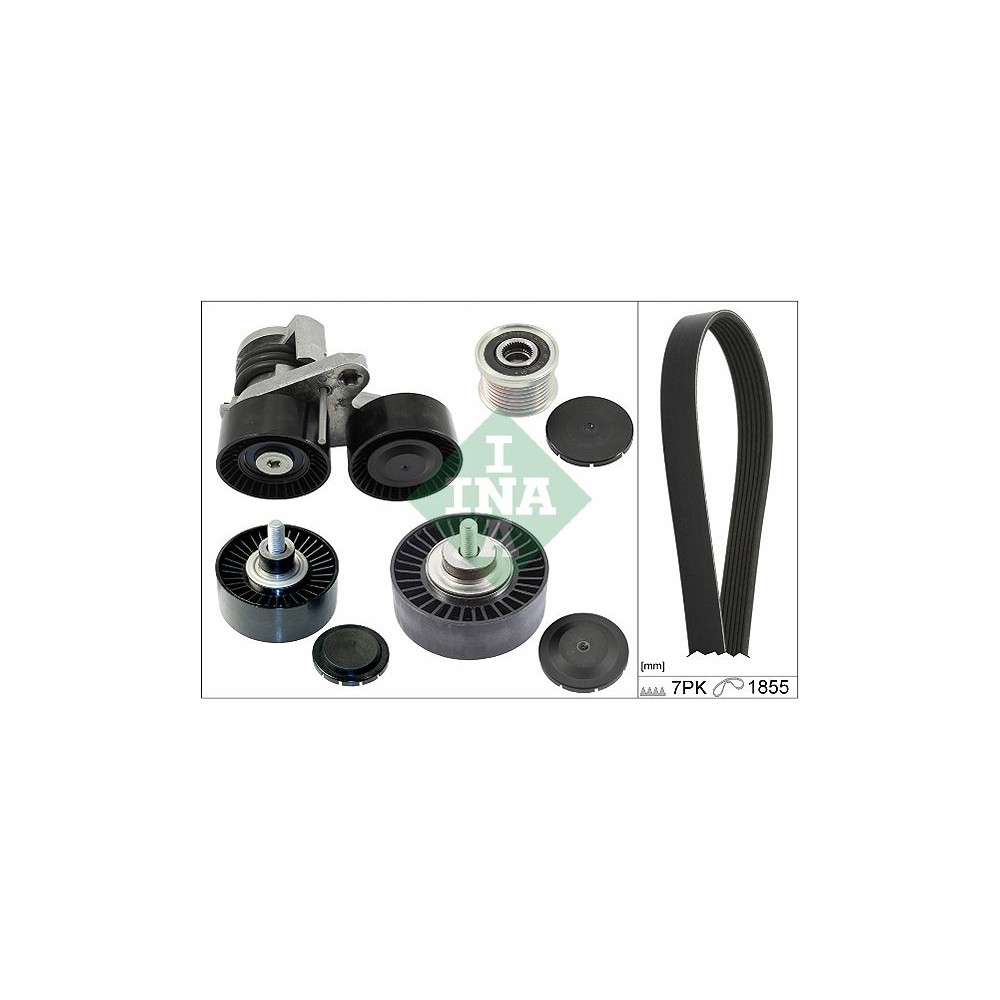INA Keilrippenriemensatz 529020410