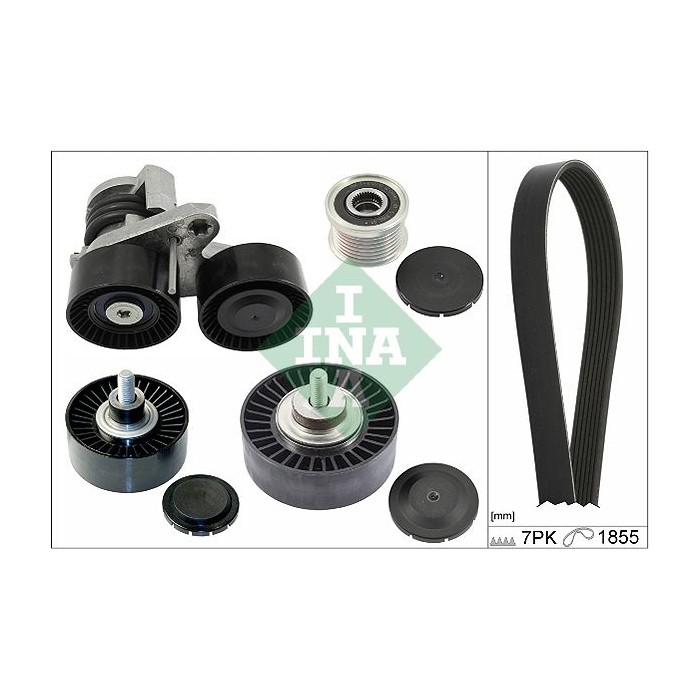 INA Keilrippenriemensatz 529020410