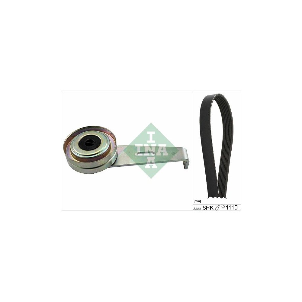 INA Keilrippenriemensatz 529020710