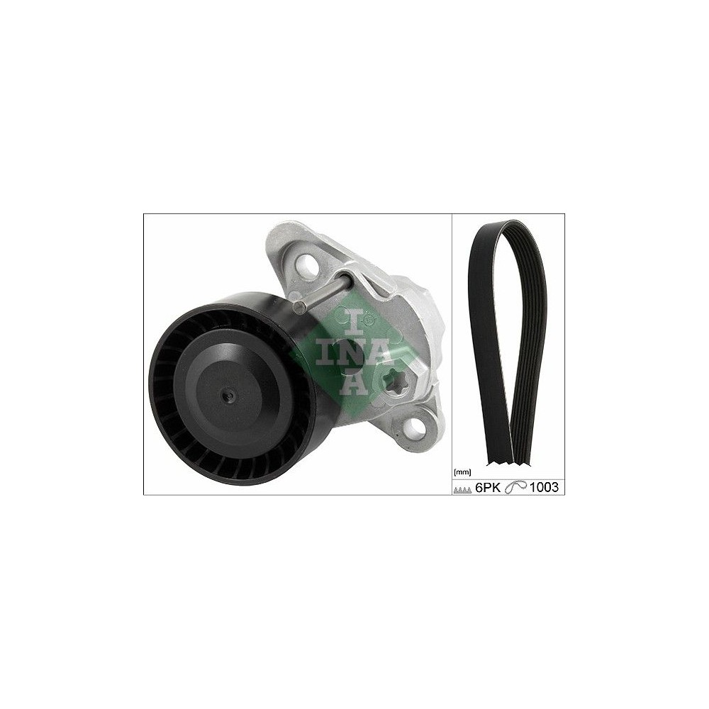 INA Keilrippenriemensatz 529020810