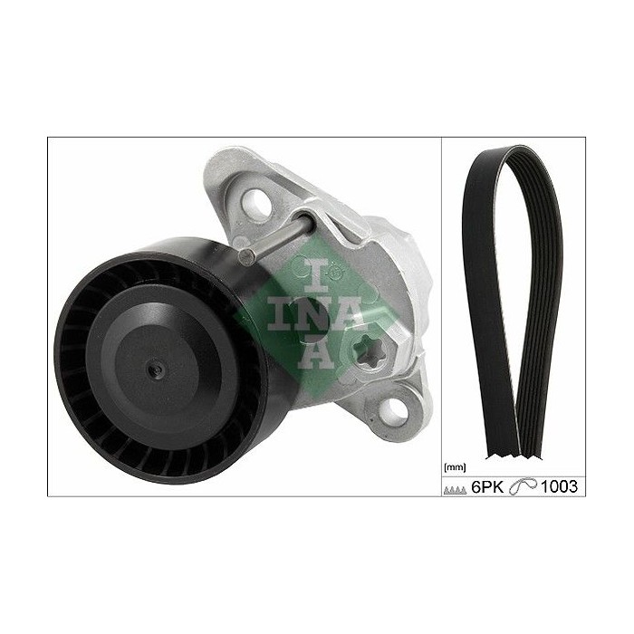 INA Keilrippenriemensatz 529020810