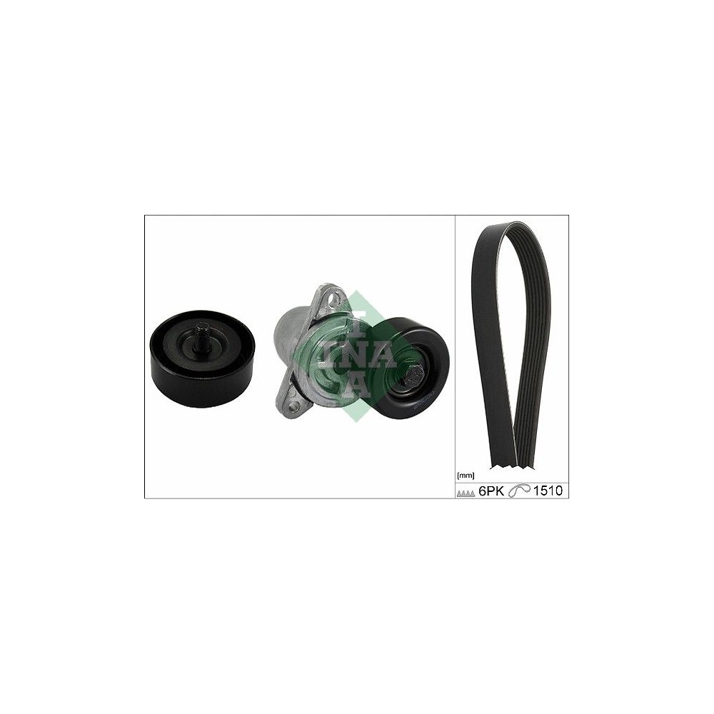 INA Keilrippenriemensatz 529021510