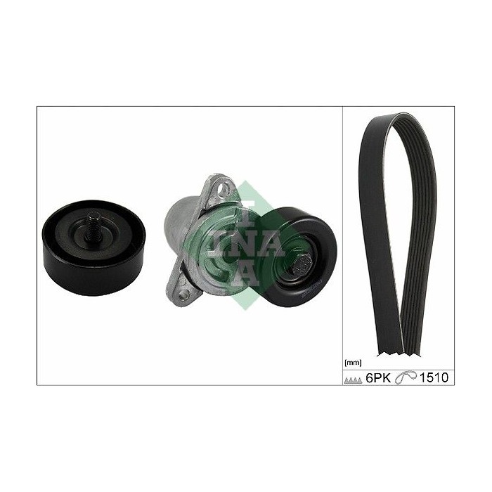 INA Keilrippenriemensatz 529021510