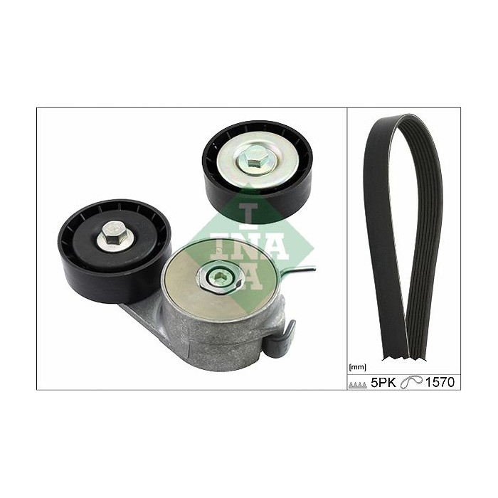 INA Keilrippenriemensatz 529022310