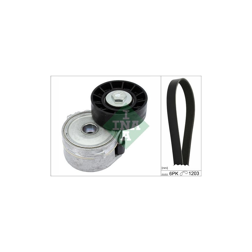 INA Keilrippenriemensatz 529022610