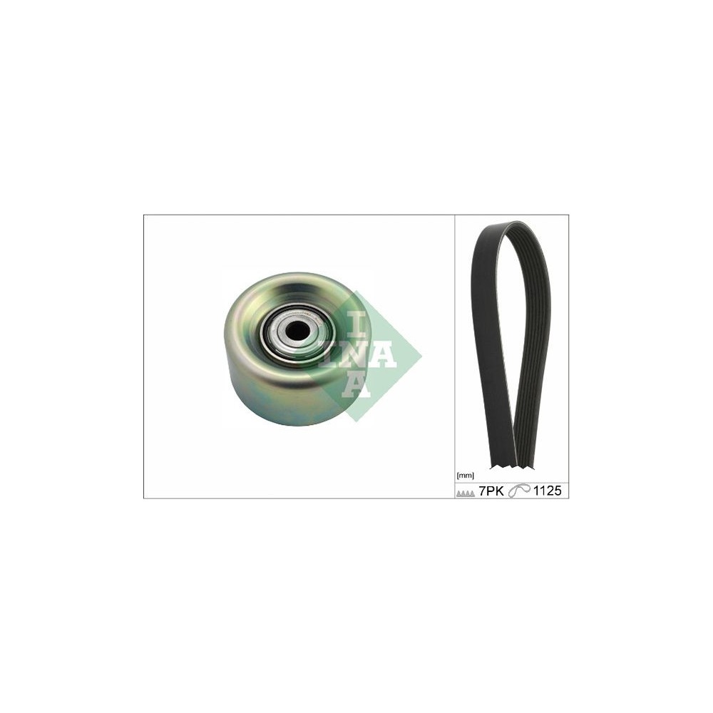 INA Keilrippenriemensatz 529023110