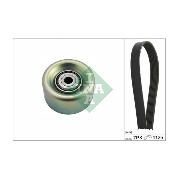 INA Keilrippenriemensatz 529023110
