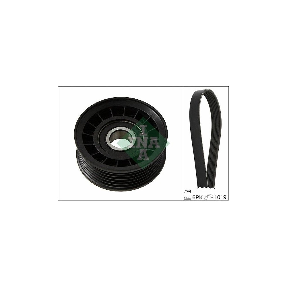 INA Keilrippenriemensatz 529023210