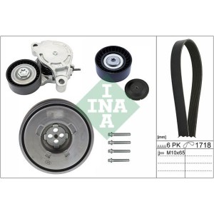 INA Keilrippenriemensatz 529024310