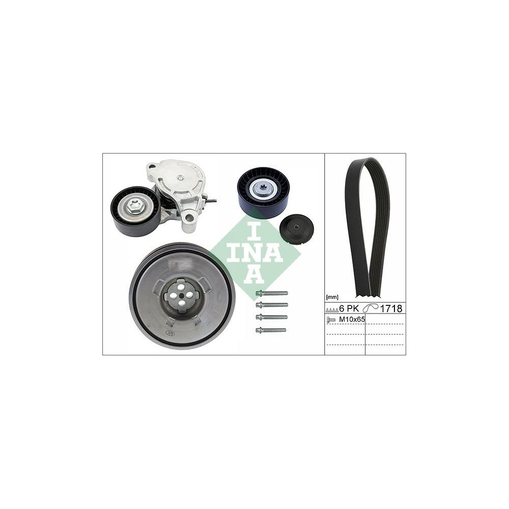 INA Keilrippenriemensatz 529024310