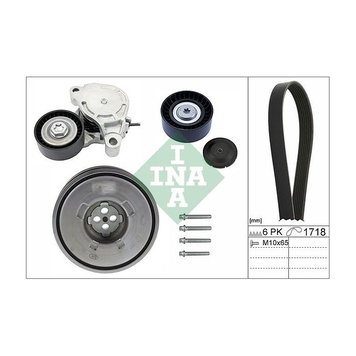 INA Keilrippenriemensatz 529024310