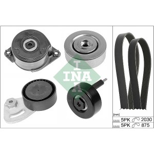 INA Keilrippenriemensatz 529025310