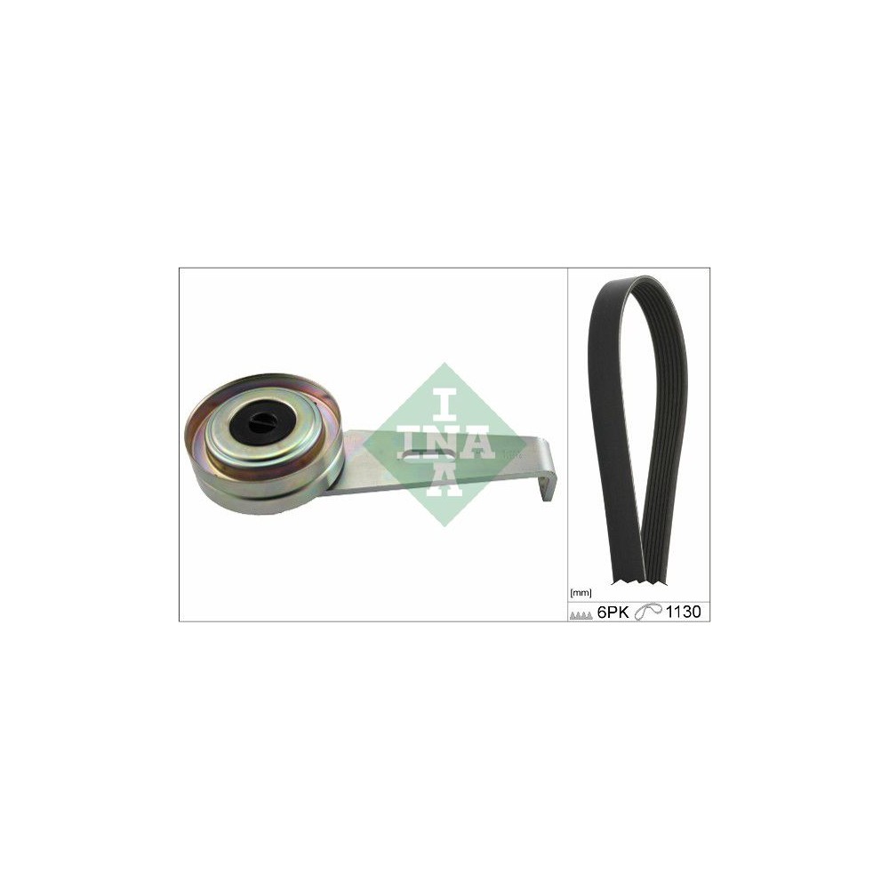 INA Keilrippenriemensatz 529025610