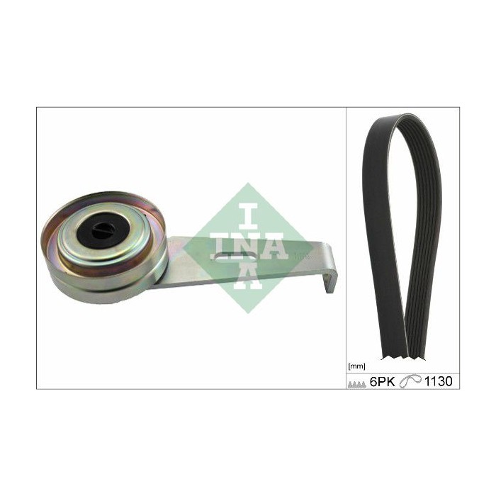 INA Keilrippenriemensatz 529025610