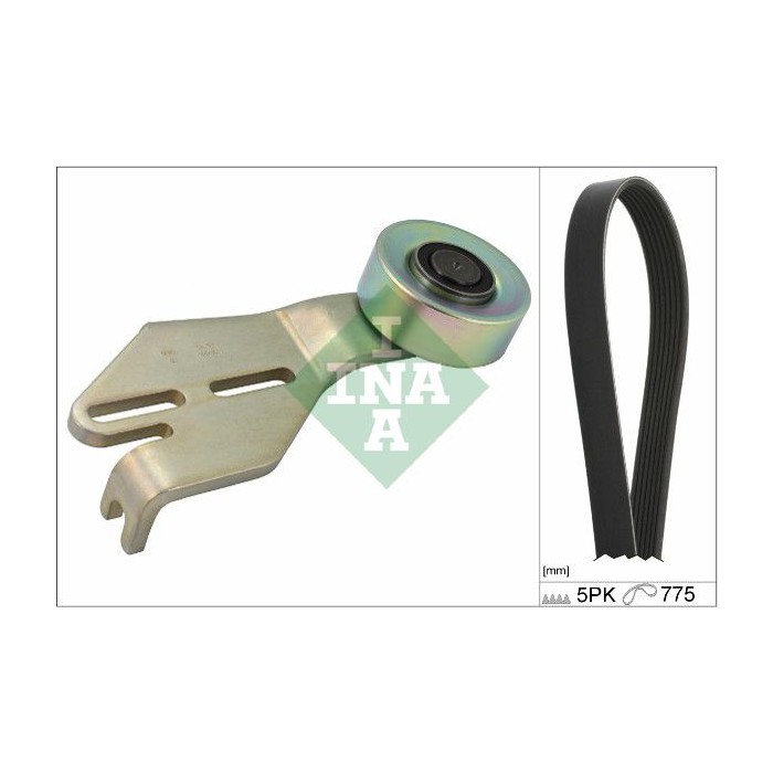 INA Keilrippenriemensatz 529025810