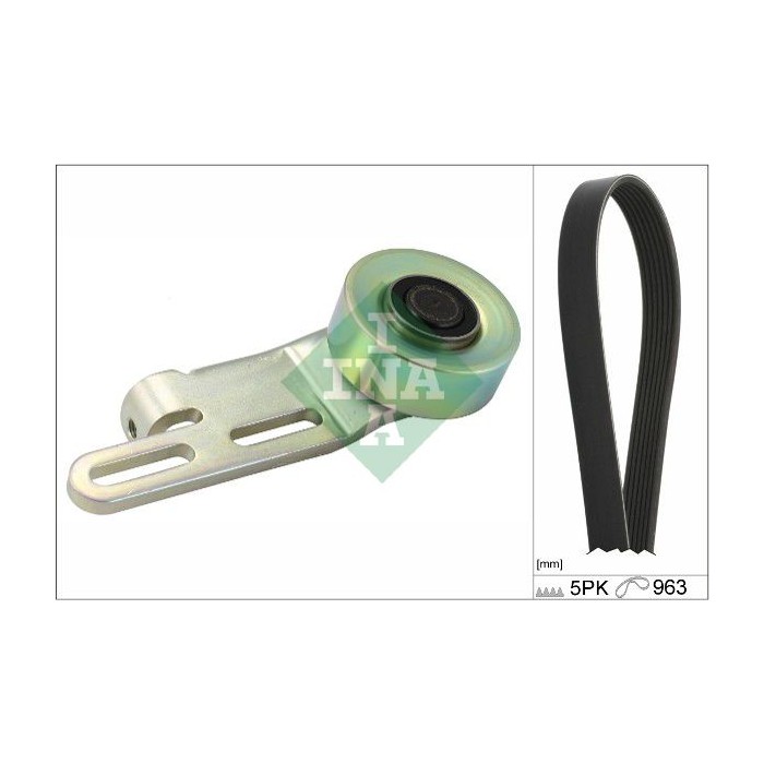 INA Keilrippenriemensatz 529025910