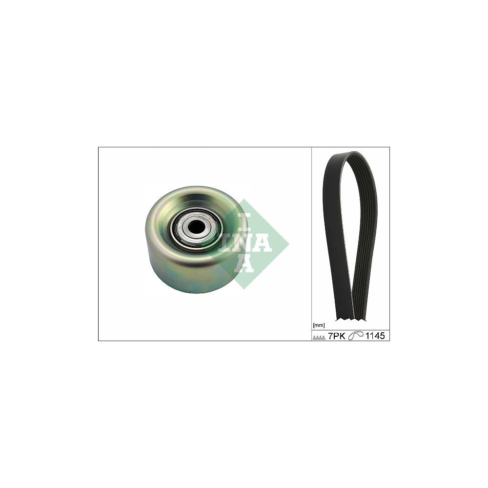 INA Keilrippenriemensatz 529027210