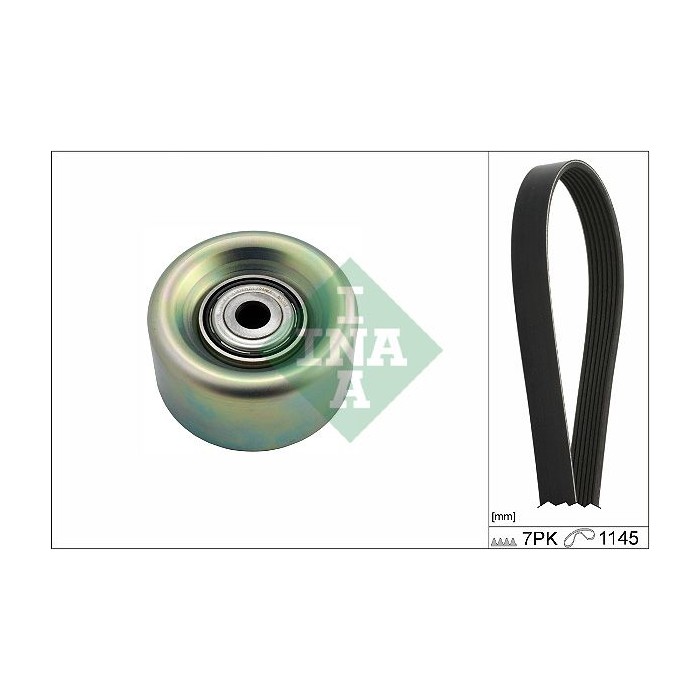 INA Keilrippenriemensatz 529027210