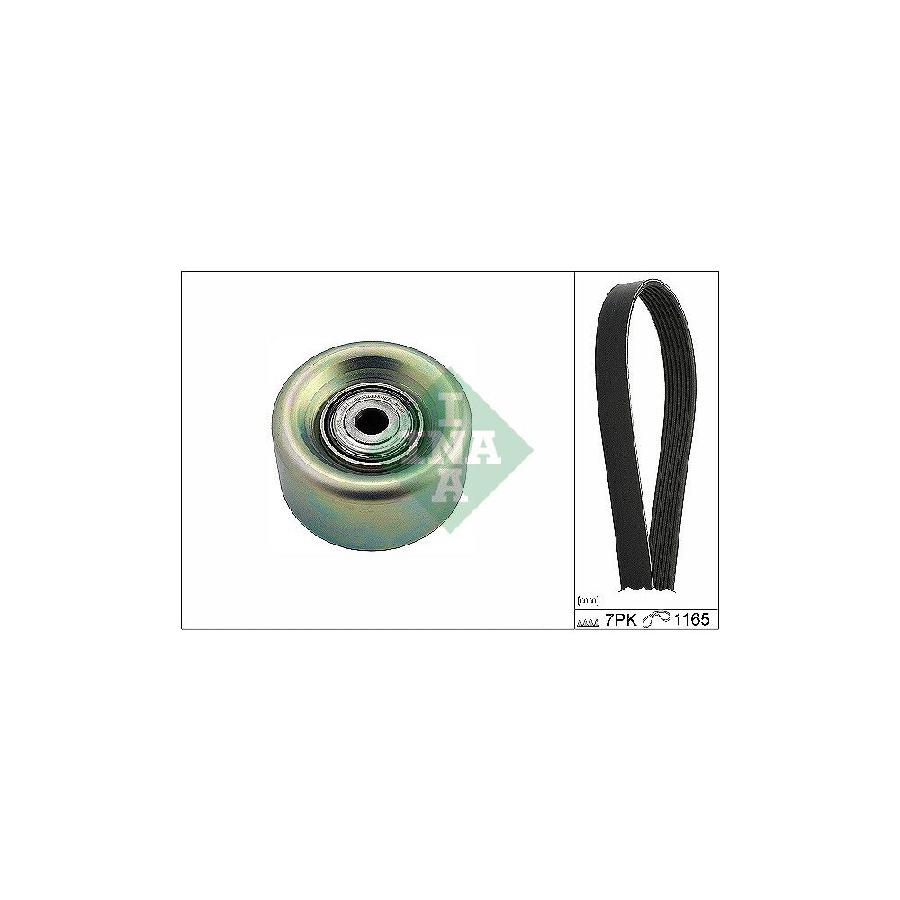 INA Keilrippenriemensatz 529027410