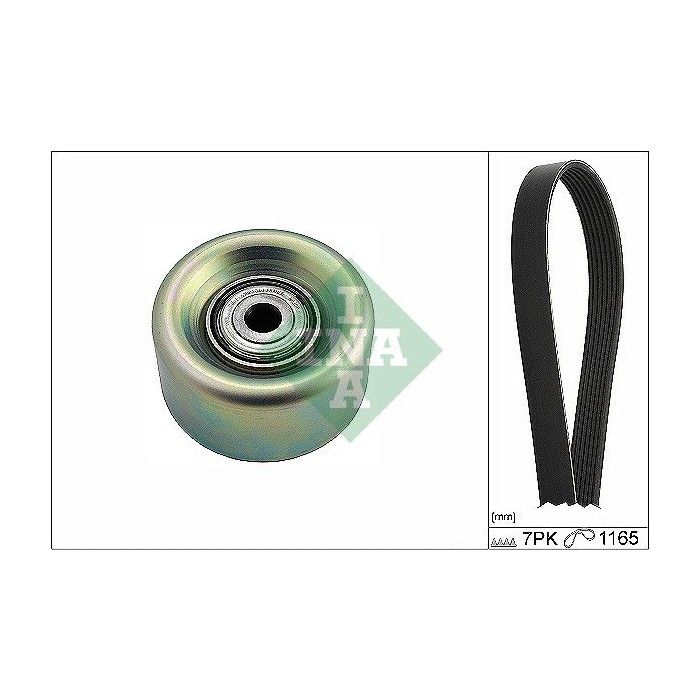 INA Keilrippenriemensatz 529027410