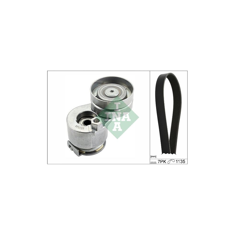 INA Keilrippenriemensatz 529028310