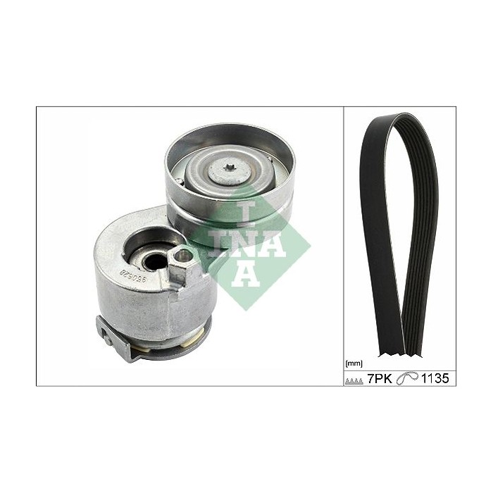 INA Keilrippenriemensatz 529028310