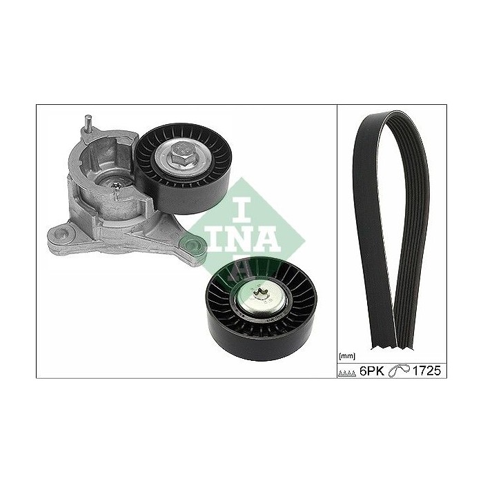INA Keilrippenriemensatz 529018310