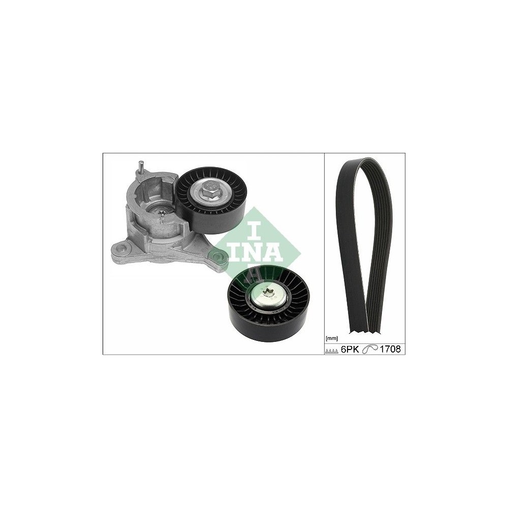 INA Keilrippenriemensatz 529018410