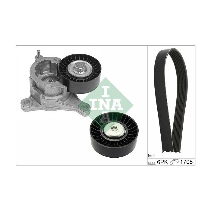 INA Keilrippenriemensatz 529018410