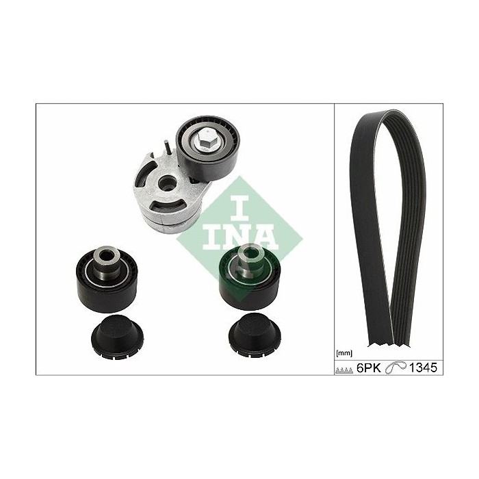 INA Keilrippenriemensatz 529018610