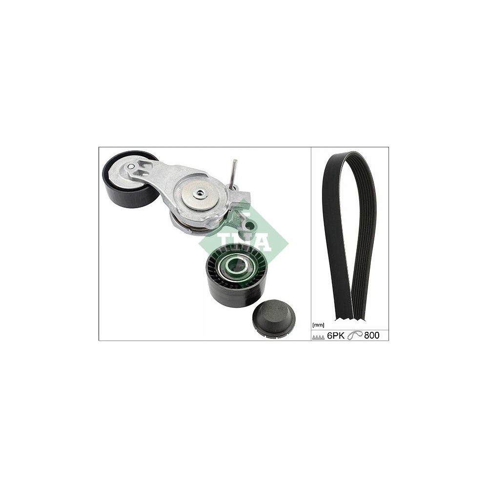 INA Keilrippenriemensatz 529021310