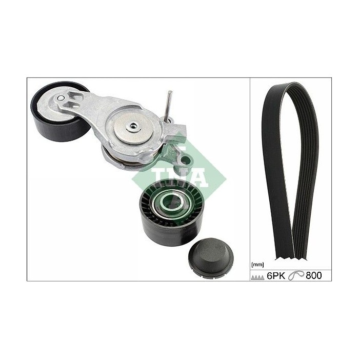 INA Keilrippenriemensatz 529021310