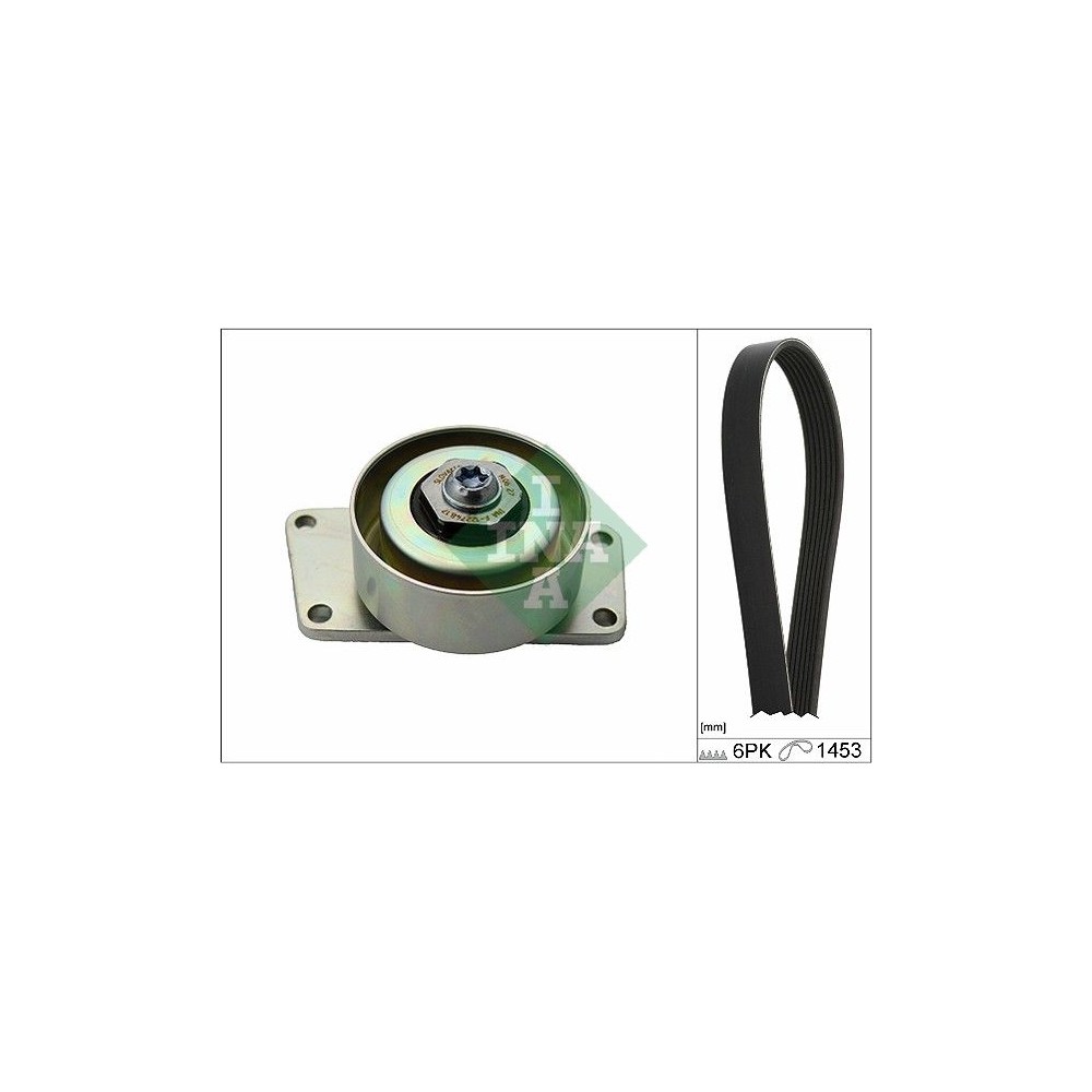 INA Keilrippenriemensatz 529021610