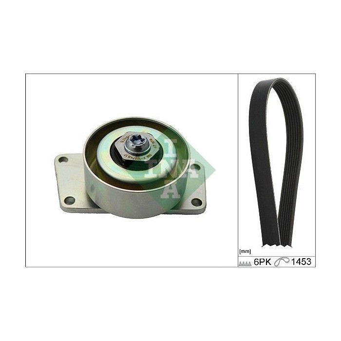 INA Keilrippenriemensatz 529021610