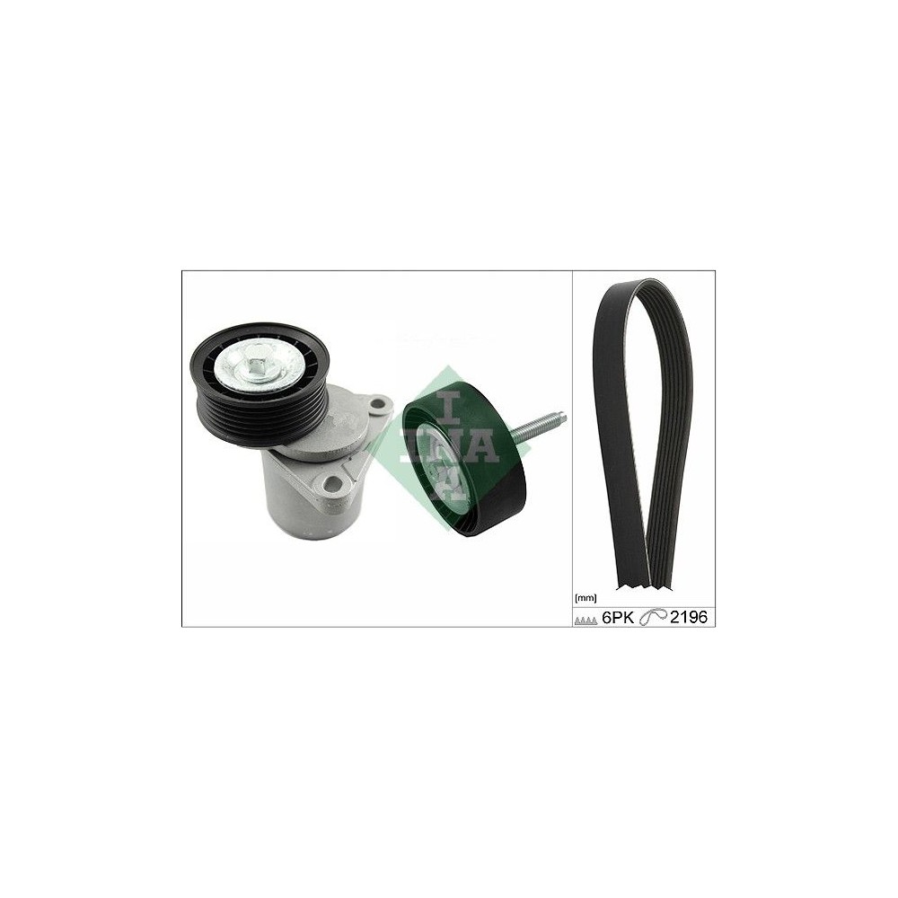 INA Keilrippenriemensatz 529021910