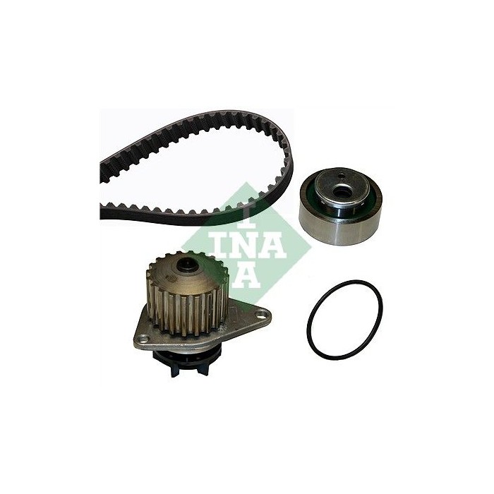 INA Wasserpumpe + Zahnriemensatz 530001630