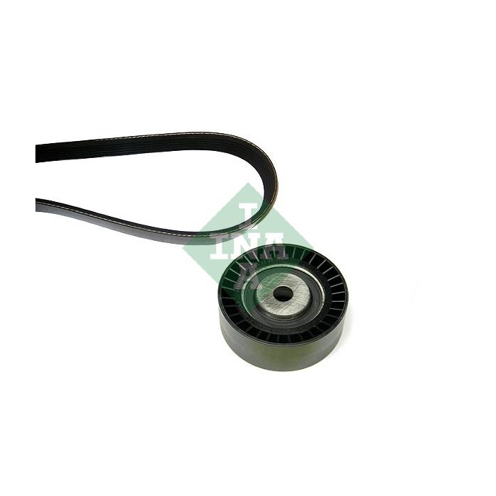 INA Keilrippenriemensatz 530012210